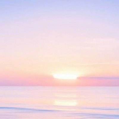 天天智龙官方下载
