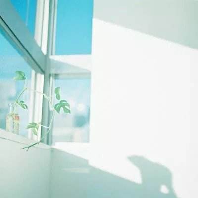 侍灵手游内购破解版下载